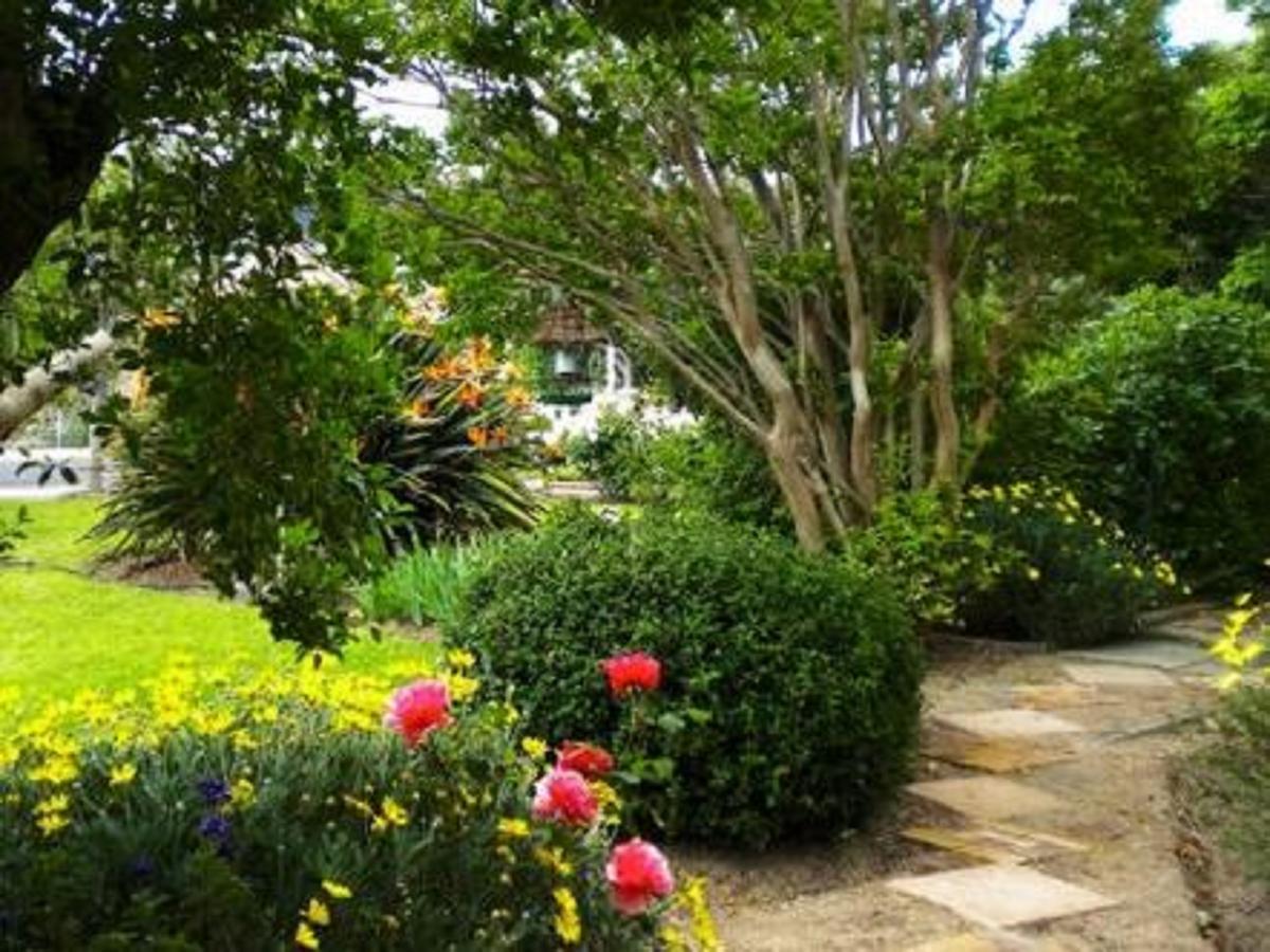 Auberge Alouette Guesthouse Franschhoek Esterno foto